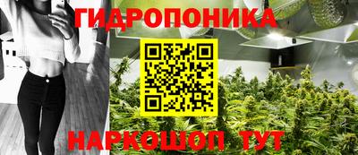 ECSTASY Гатчина